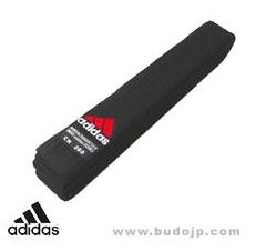 �A�f�B�_�X�yadidas�z�юʐ^