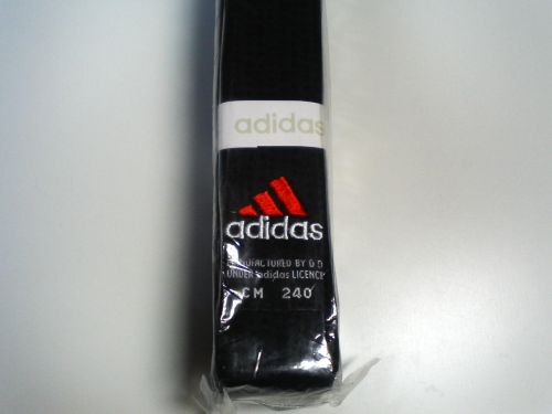 �A�f�B�_�X�yadidas�z�юʐ^