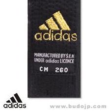 �A�f�B�_�X�yadidas�z�юʐ^