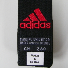 �A�f�B�_�X�yadidas�z�юʐ^