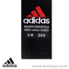 �A�f�B�_�X�yadidas�z�юʐ^
